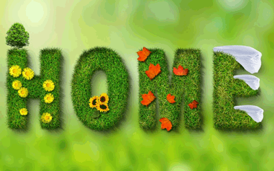 🌿 Grüner Daumen gesucht 🌿