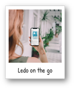 Ledo auf Instagram